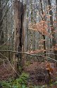 Wandertag 2016 - 107